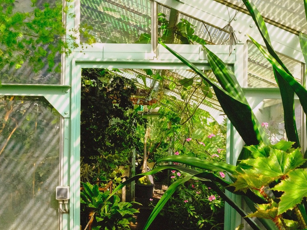 Balade du jardinier – 1er trimestre 2026